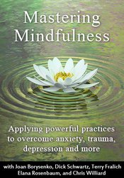 Mastering Mindfulness: Applying Powerful Practices to Help with Anxiety, Trauma, Depression and More