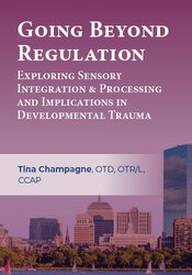 Going Beyond Regulation: Exploring Sensory Integration & Processing and Implications in Developmental Trauma