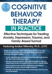 2-Day Cognitive Behavioral Therapy in Practice