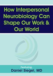 How Interpersonal Neurobiology Can Help Shape our Work and our World