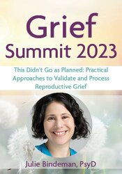 This Didn't Go as Planned: Practical Approaches to Validate and Process Reproductive Grief