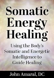 Somatic Energy Healing: Using the Bodys Somatic and Energetic Intelligence to Guide Healing