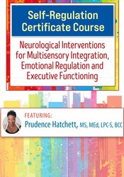 Self-Regulation Certificate Course: Neurological Interventions for Multisensory Integration, Emotional Regulation and Executive Functioning