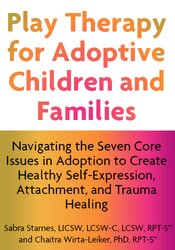 Play Therapy for Adoptive Children and Families: Navigating the Seven Core Issues in Adoption to Create Healthy Self-Expression, Attachment, and Trauma Healing